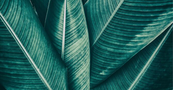 Pelvic Floor Physiotherapy